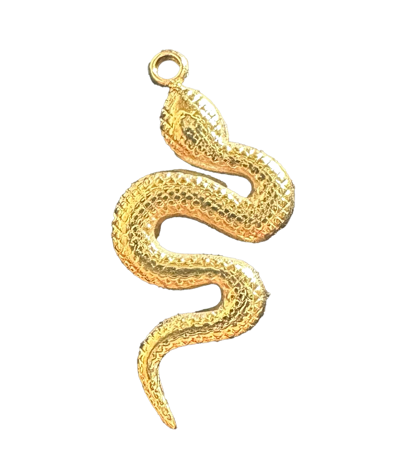 Snake charm on transparent background